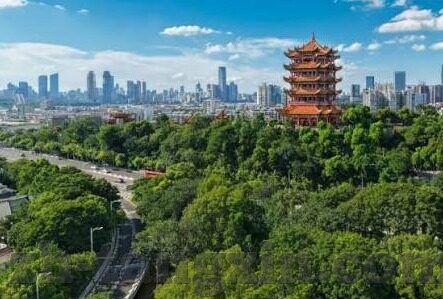 成人在线观看视频-成人在线观看视频，信息时代的娱乐新视角