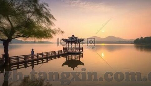快播伦理-快播事件与伦理反思，在技术革新与道德边界间徘徊