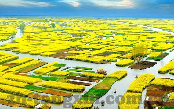 麻豆av系列-步入成人世界的一瞥，浅析麻豆av系列现象