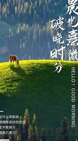 麻豆视频艾秋-揭秘网络红人背后的故事，麻豆视频艾秋的多重面向