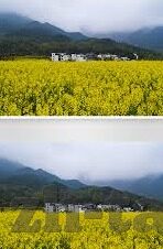 怎么看麻豆的视频-网络观影现象，我们为什么、如何及该不该怎么看麻豆的视频？
